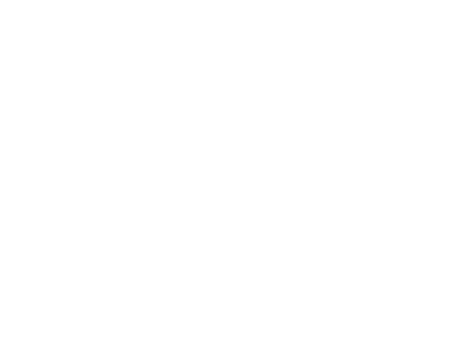Geniş Alan - 2985 m² açık gümrüklü alan